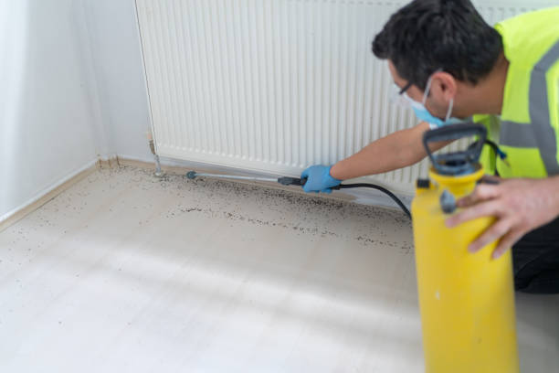 Best Ant Control Services  in Houserville, PA